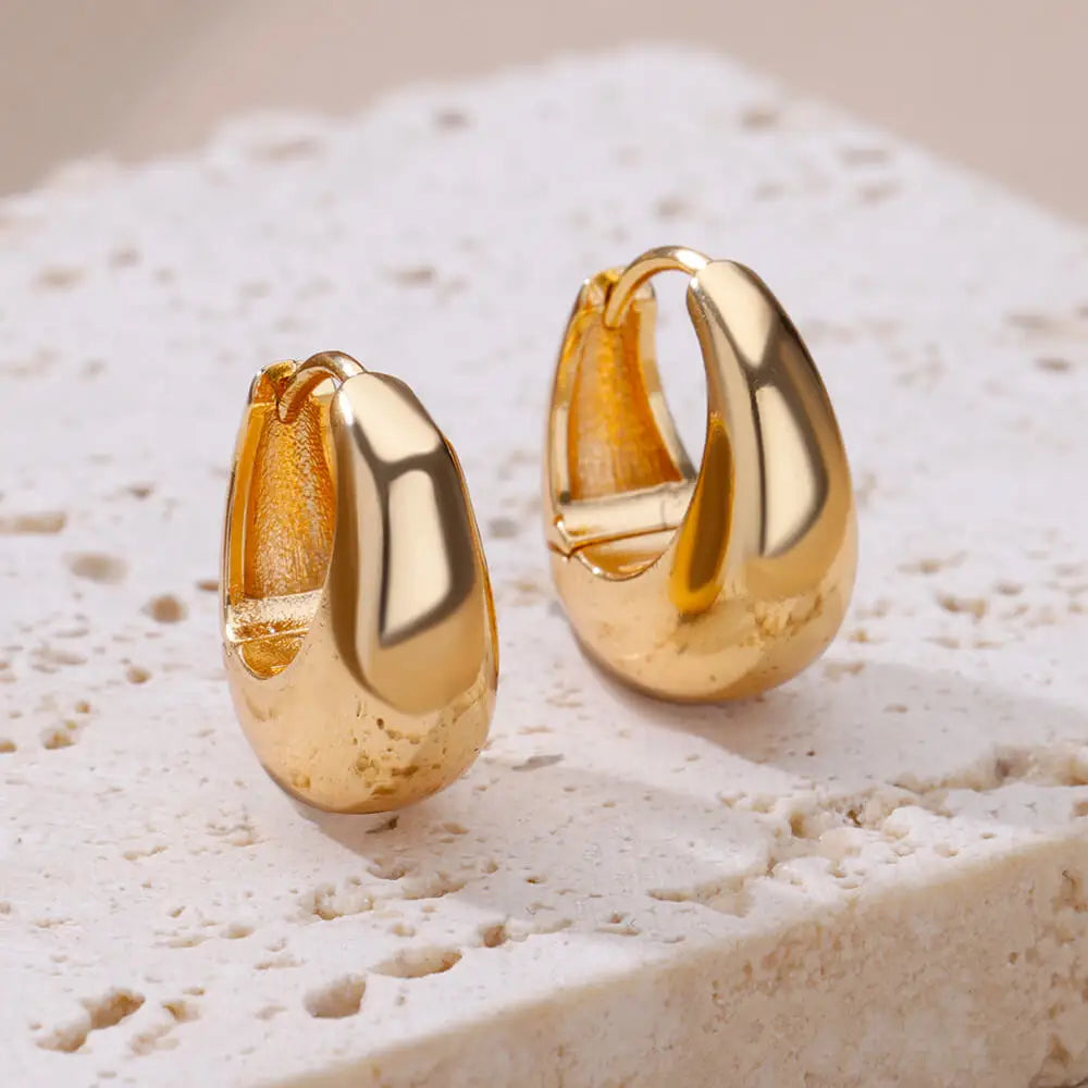 Chunky Drop Hoop Earrings for Women Stainless Steel Gold Color Piercing Earring 2024 Trend New In Trend Jewelry aretes mujer Vera Lux