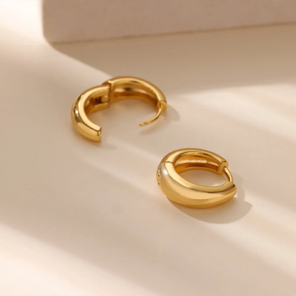 Classic Hoop Earrings for Women Chunky Stainless Steel Gold Color Earring 2025 Trend New in Minimalist Pendientes Jewelry aretes Vera Lux