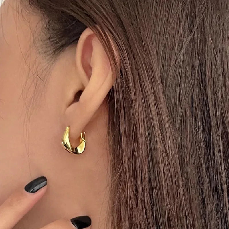 925 Sterling Silver Earrings for Women Ear Hoop Versatile Sweet Girl Fashion Jewery New Year Gifts Accessories Vera Lux