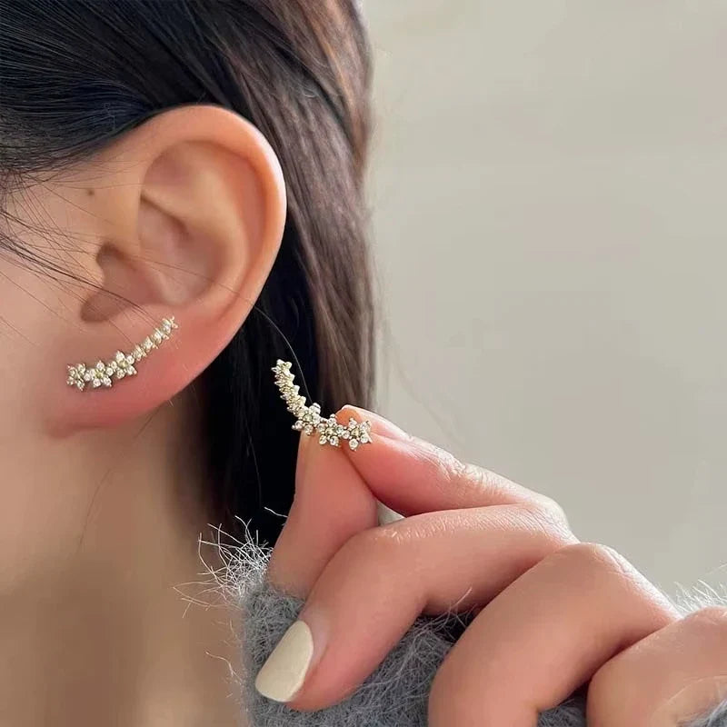 Fashion Silver Color Zircon Flower Star Stud Earrings For Women Simple Metal Piercing Climbing Earrings Jewelry Accessories Vera Lux