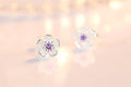 925 Sterling Silver Pink Purple Zircon Flower Small Stud Earrings For Women Wedding Elegant Luxury Jewelry Accessories Wholesale Vera Lux