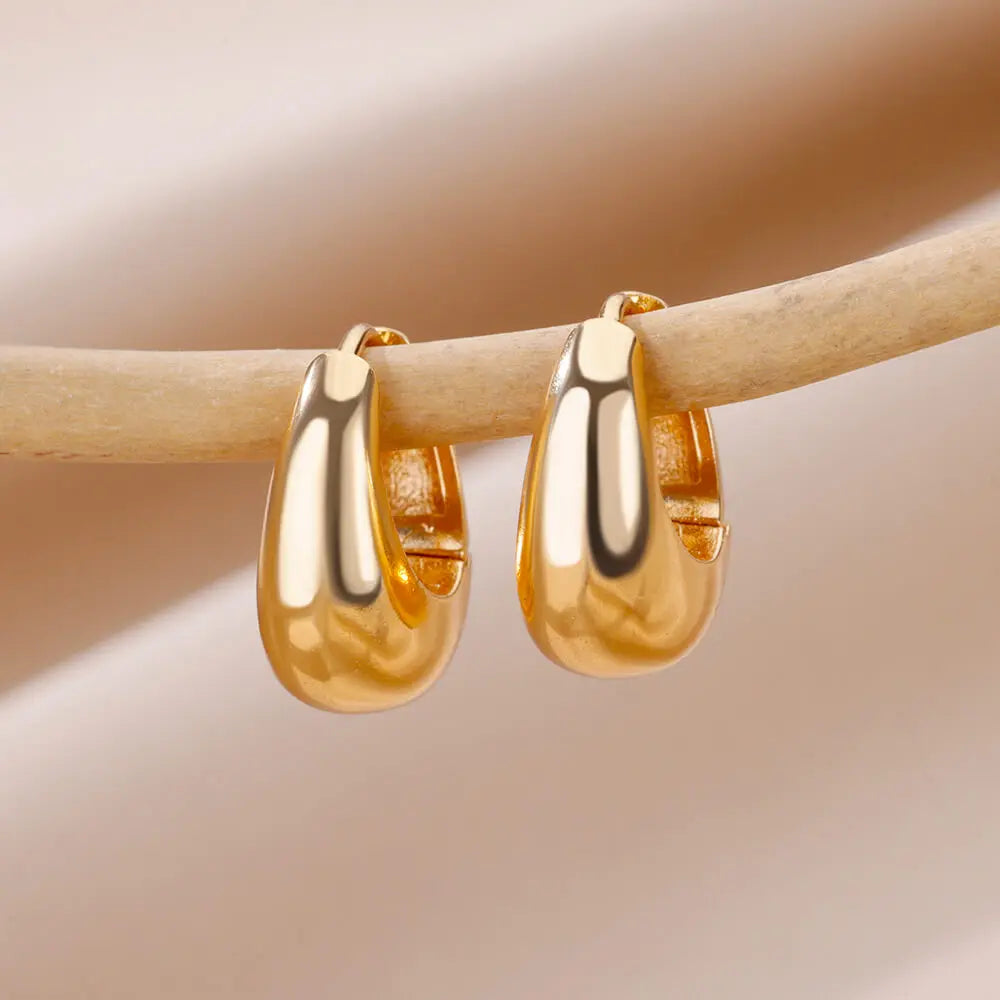 Chunky Drop Hoop Earrings for Women Stainless Steel Gold Color Piercing Earring 2024 Trend New In Trend Jewelry aretes mujer Vera Lux