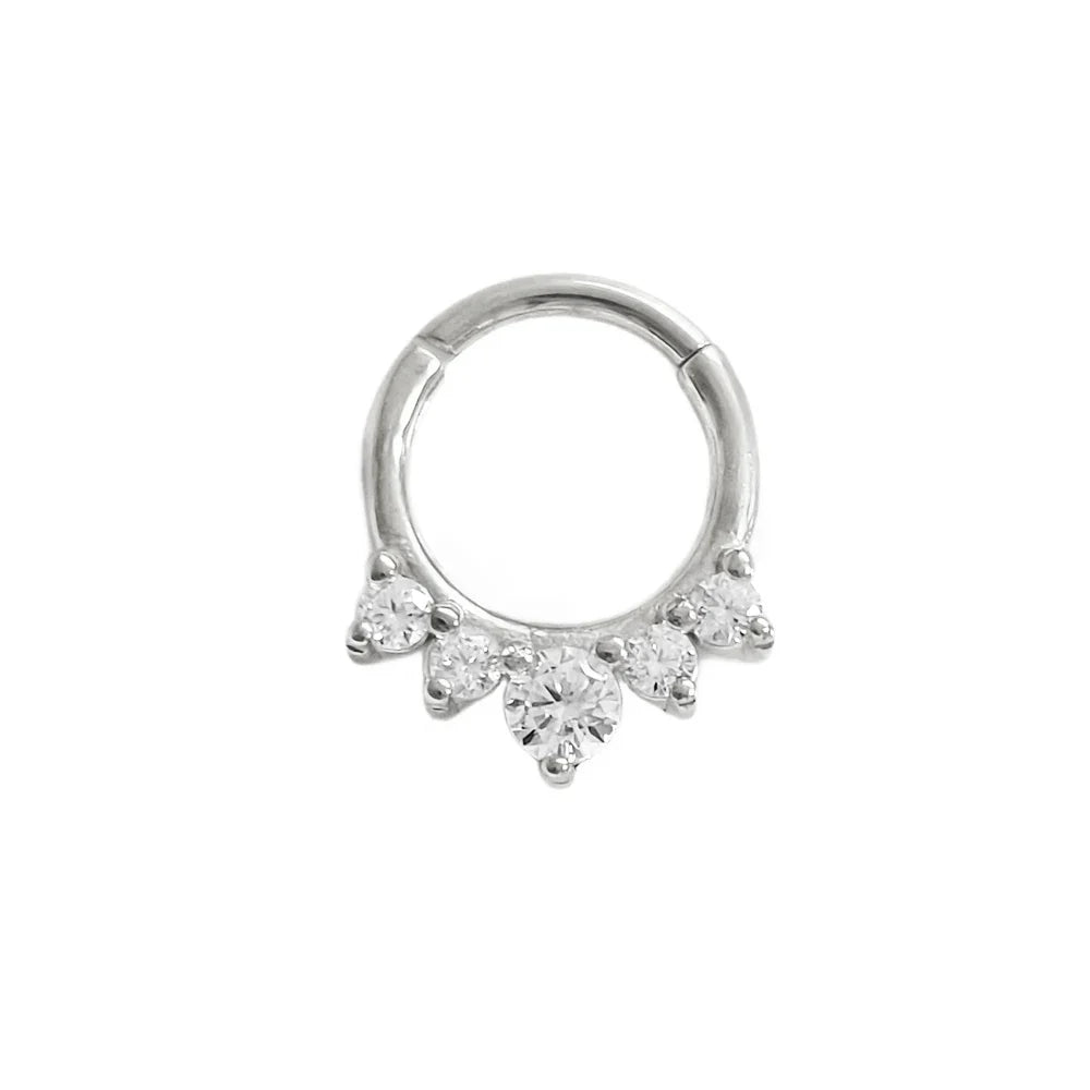316L Surgical Steel Segment Nose Ring Zircon Septum Clicker Ear Cartilage Helix Daith Hoop Body  Piercing Jewelry Vera Lux
