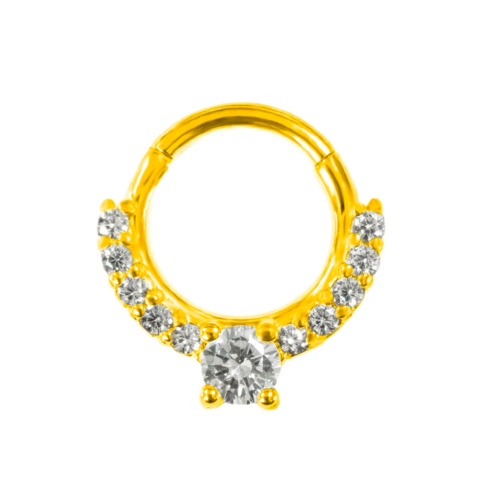 316L Surgical Steel Segment Nose Ring Zircon Septum Clicker Ear Cartilage Helix Daith Hoop Body  Piercing Jewelry Vera Lux
