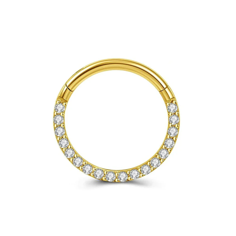 316L Surgical Steel Segment Nose Ring Zircon Septum Clicker Ear Cartilage Helix Daith Hoop Body  Piercing Jewelry Vera Lux