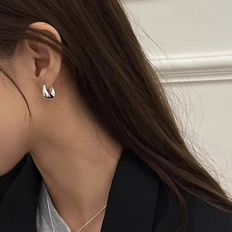 925 Sterling Silver Earrings for Women Ear Hoop Versatile Sweet Girl Fashion Jewery New Year Gifts Accessories Vera Lux
