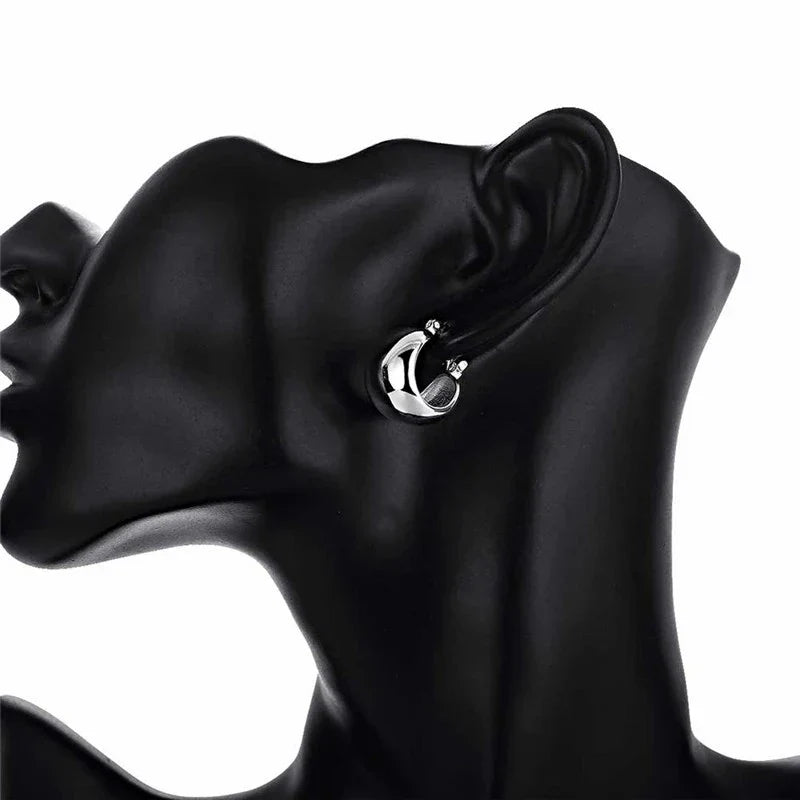 Fine 925 sterling silver earrings wedding high quality popular product fashion women party Earring Jewelry Vera Lux