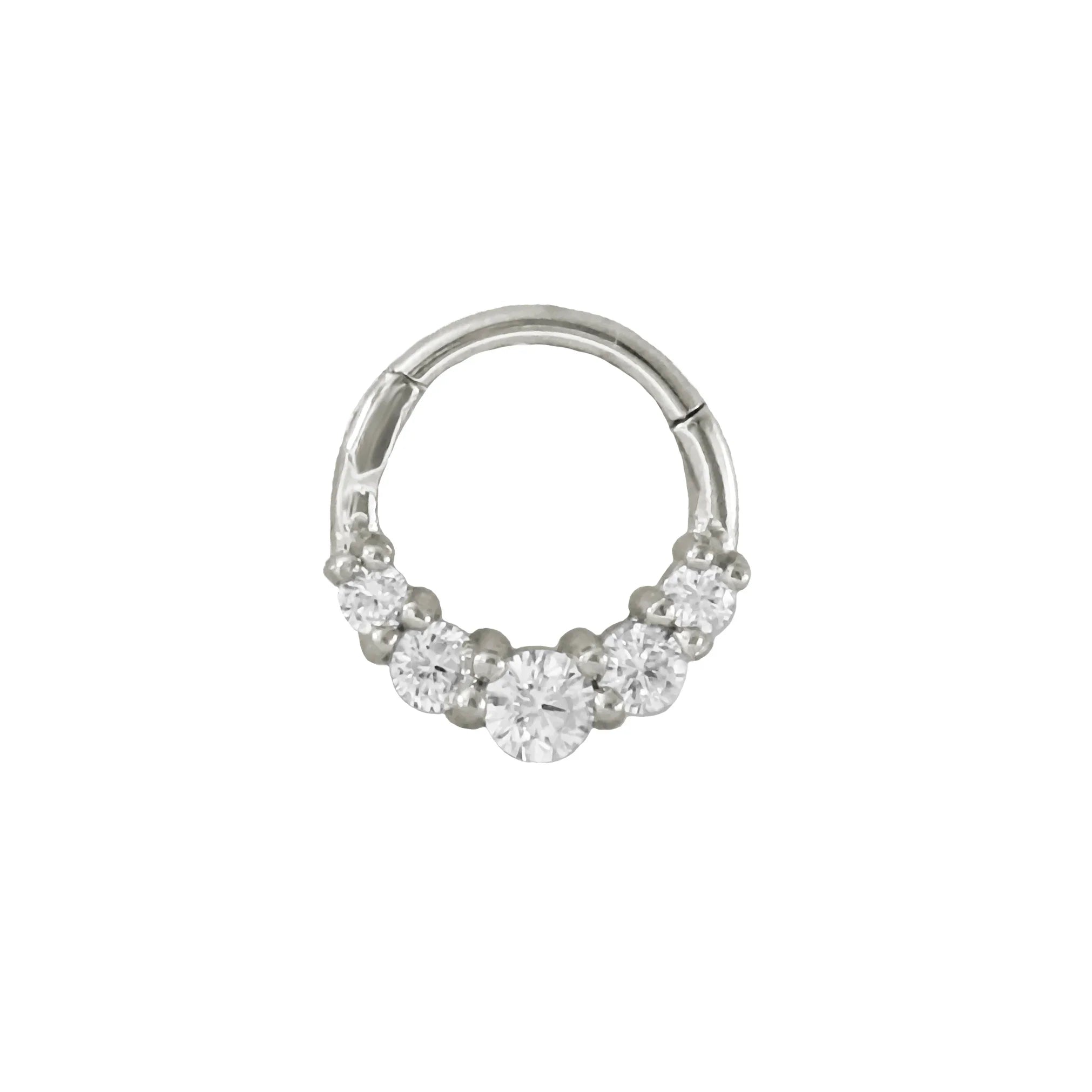 316L Surgical Steel Segment Nose Ring Zircon Septum Clicker Ear Cartilage Helix Daith Hoop Body  Piercing Jewelry Vera Lux