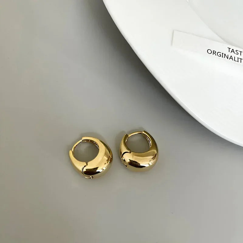 Stainless Steel Smooth Metal Chunky Hoop Earrings For Women Girls Fashion Round Circle Hoops Statement Earrings Punk Jewelry Vera Lux