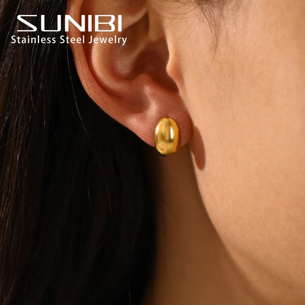 SUNIBI Stainless Steel Stud Earring for Women Gold Color Silver Color Simple Earrings Wives Smooth Thick Hoop Fashion Jewelry Vera Lux