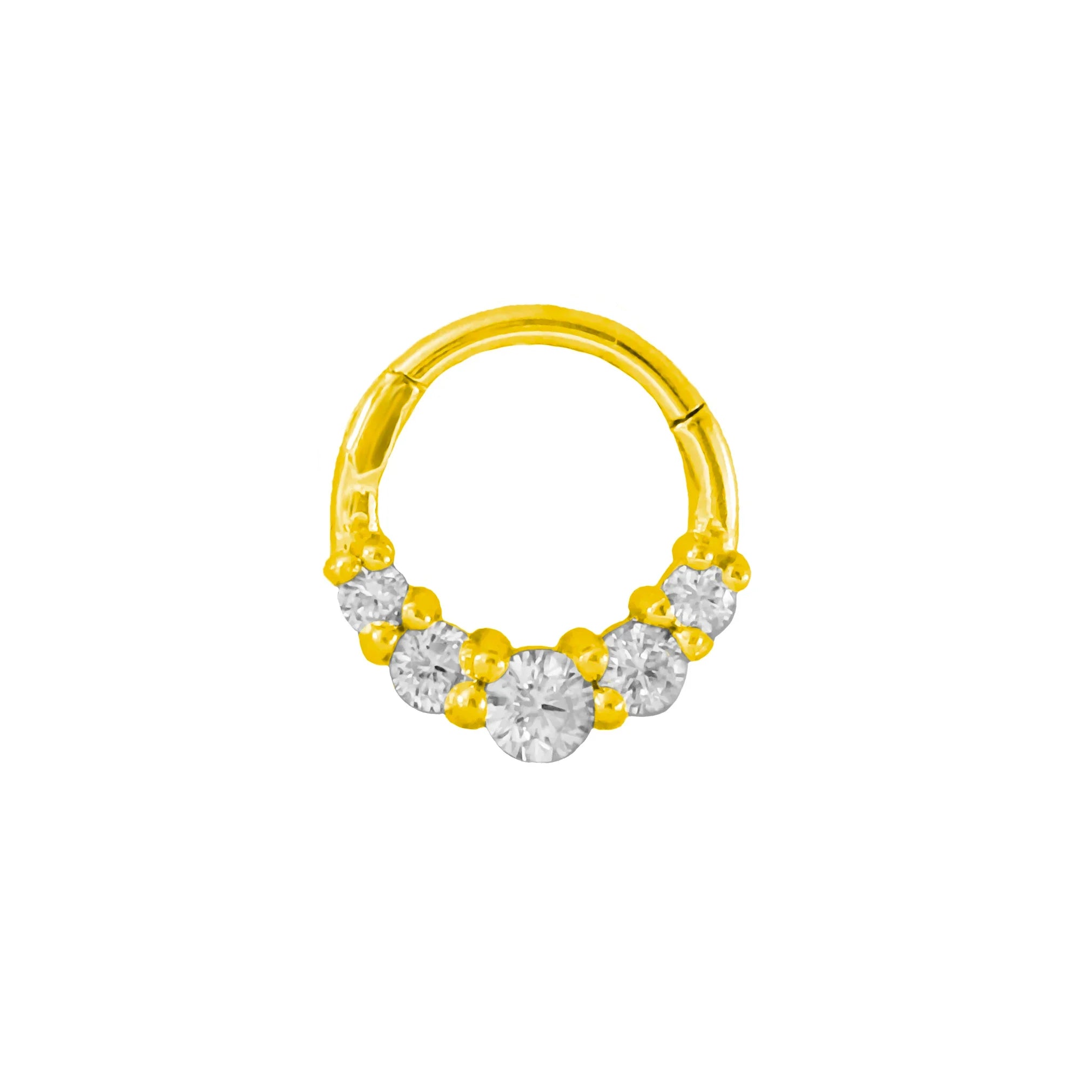 316L Surgical Steel Segment Nose Ring Zircon Septum Clicker Ear Cartilage Helix Daith Hoop Body  Piercing Jewelry Vera Lux
