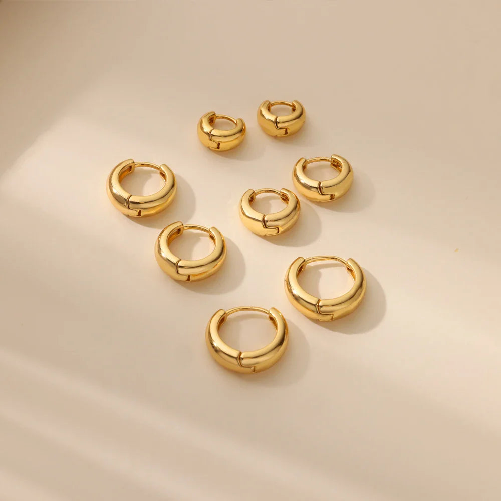 Classic Hoop Earrings for Women Chunky Stainless Steel Gold Color Earring 2025 Trend New in Minimalist Pendientes Jewelry aretes Vera Lux