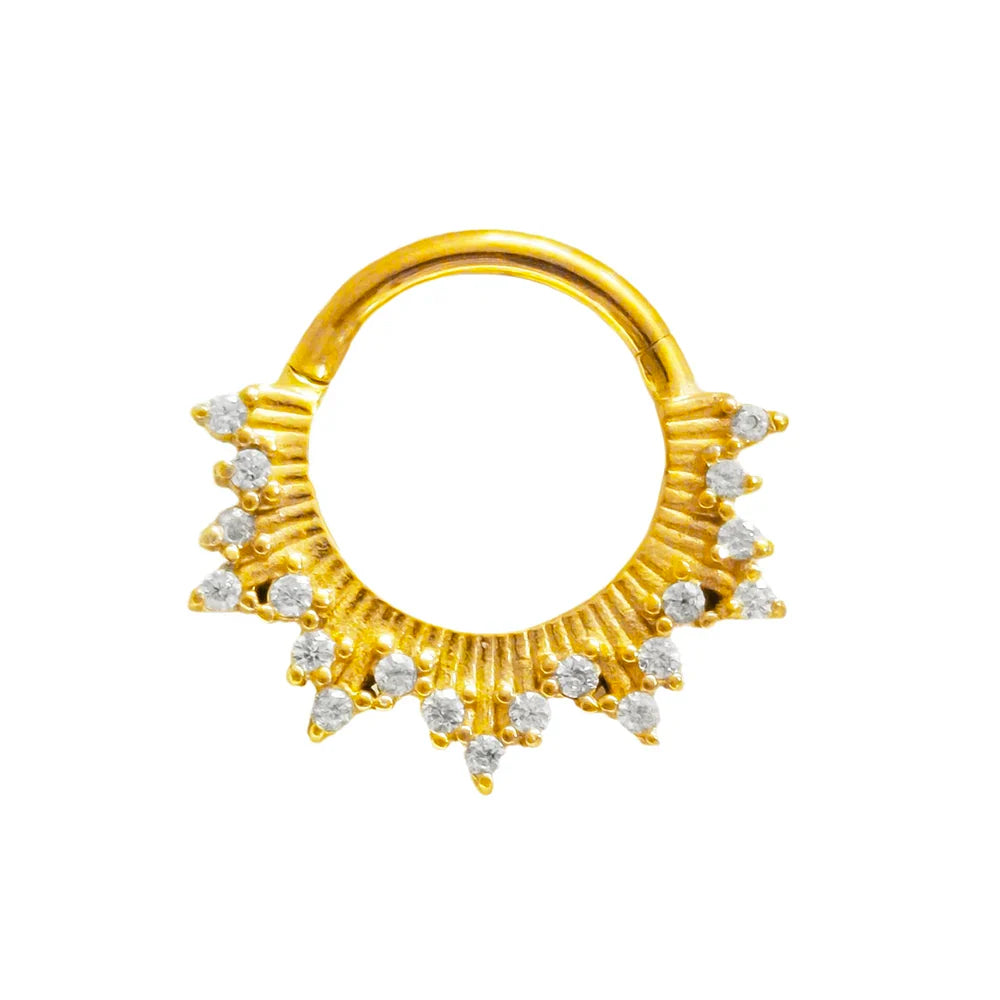 316L Surgical Steel Segment Nose Ring Zircon Septum Clicker Ear Cartilage Helix Daith Hoop Body  Piercing Jewelry Vera Lux