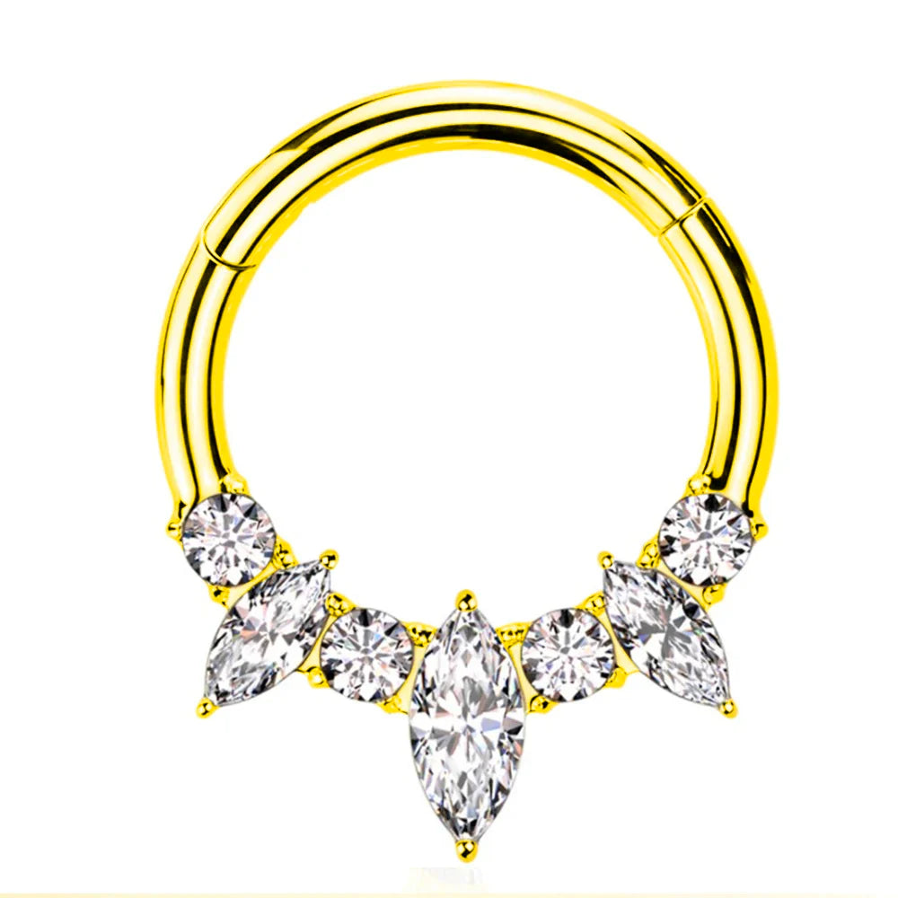 316L Surgical Steel Segment Nose Ring Zircon Septum Clicker Ear Cartilage Helix Daith Hoop Body  Piercing Jewelry Vera Lux