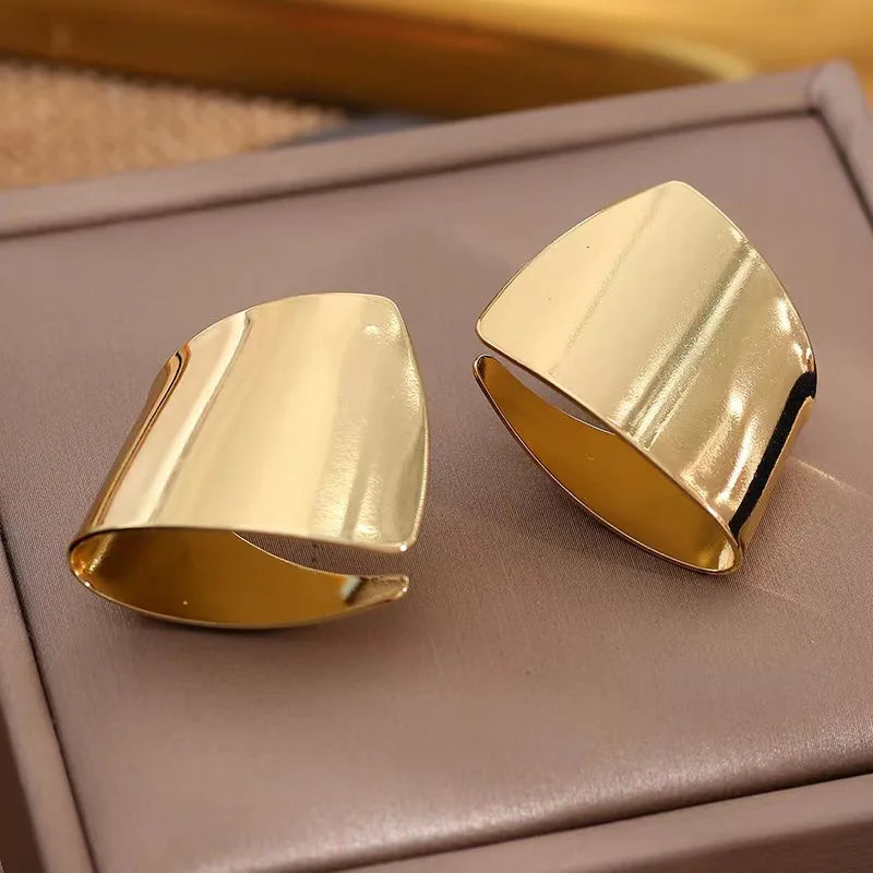 New Simple Metal Style Glossy Geometric Earrings For Women Fashionable Personalized Daily Accessory Party Jewelry Birthday Gifts Vera Lux