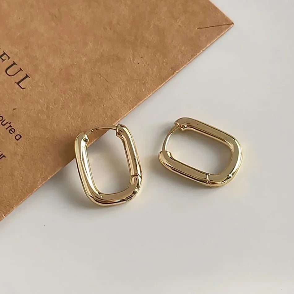 High-quality 925 Sterling Silver Crystal Fashion Circle Hoop Earrings for Woman Wedding Party Gift Street Versatile Jewelry Vera Lux