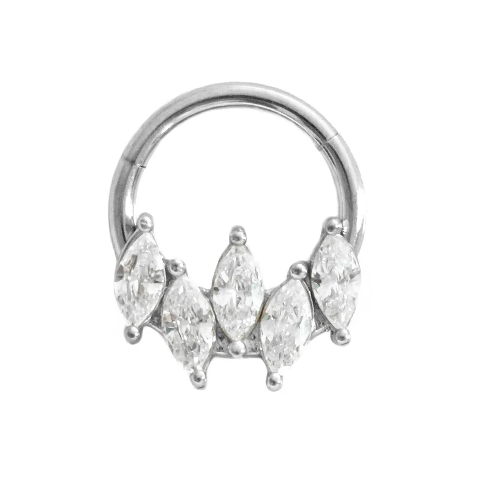 316L Surgical Steel Segment Nose Ring Zircon Septum Clicker Ear Cartilage Helix Daith Hoop Body  Piercing Jewelry Vera Lux