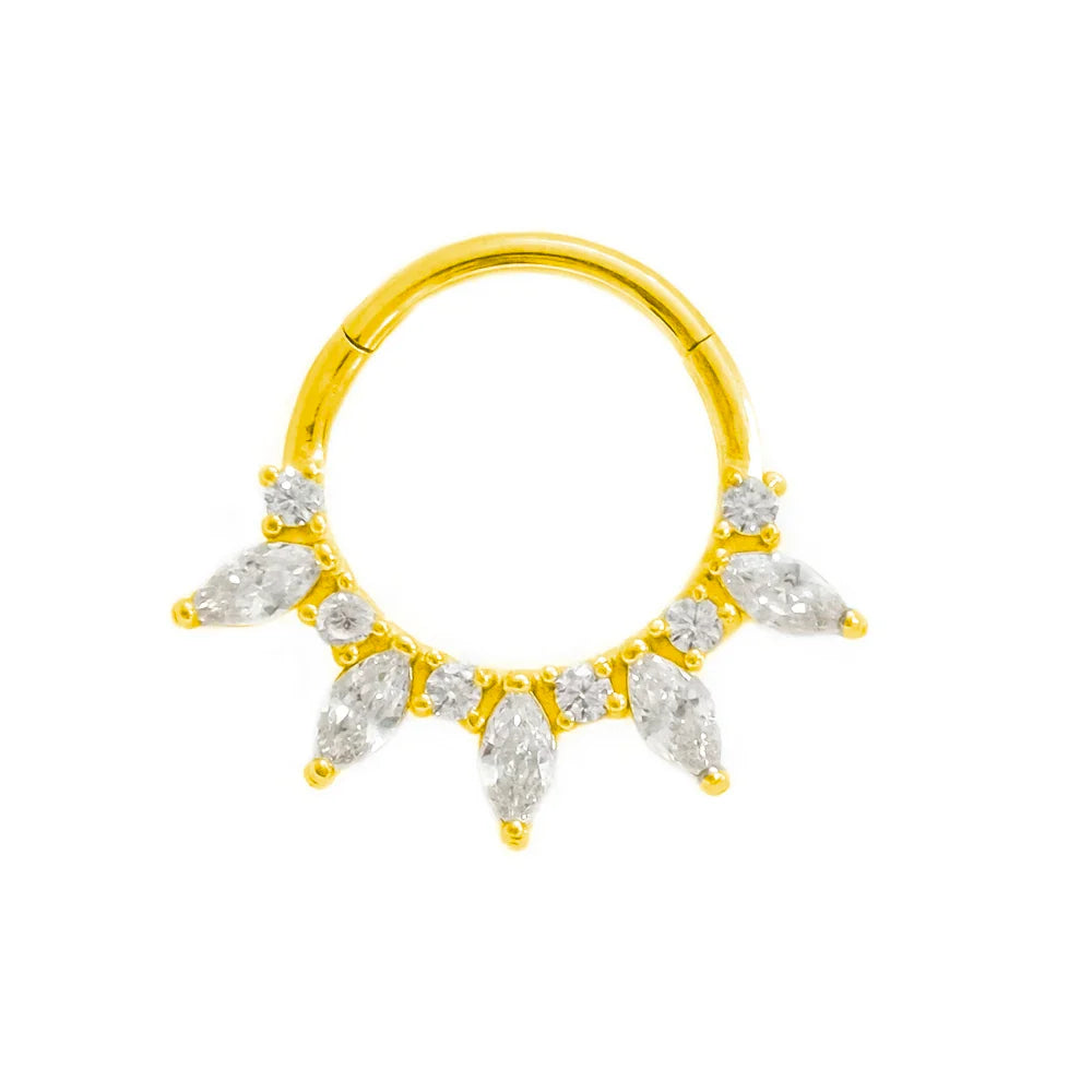 316L Surgical Steel Segment Nose Ring Zircon Septum Clicker Ear Cartilage Helix Daith Hoop Body  Piercing Jewelry Vera Lux