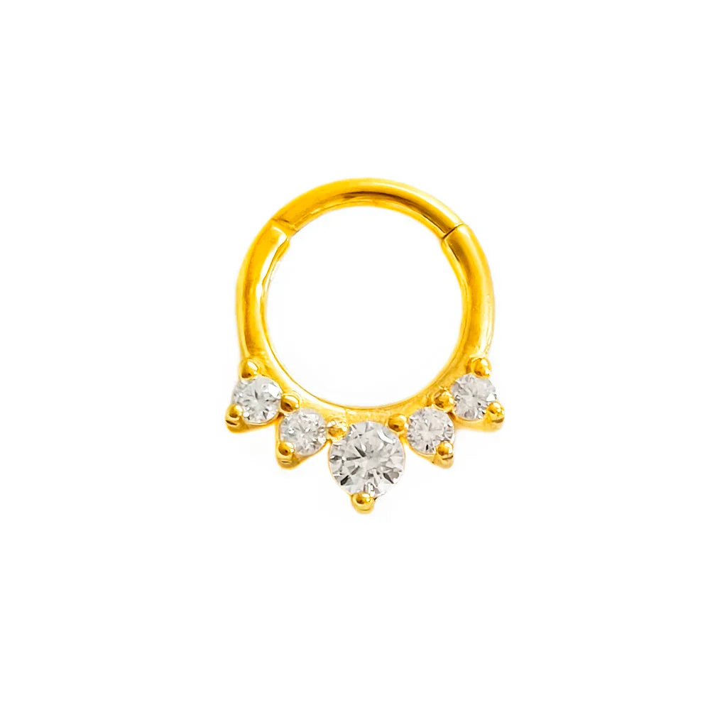 316L Surgical Steel Segment Nose Ring Zircon Septum Clicker Ear Cartilage Helix Daith Hoop Body  Piercing Jewelry Vera Lux