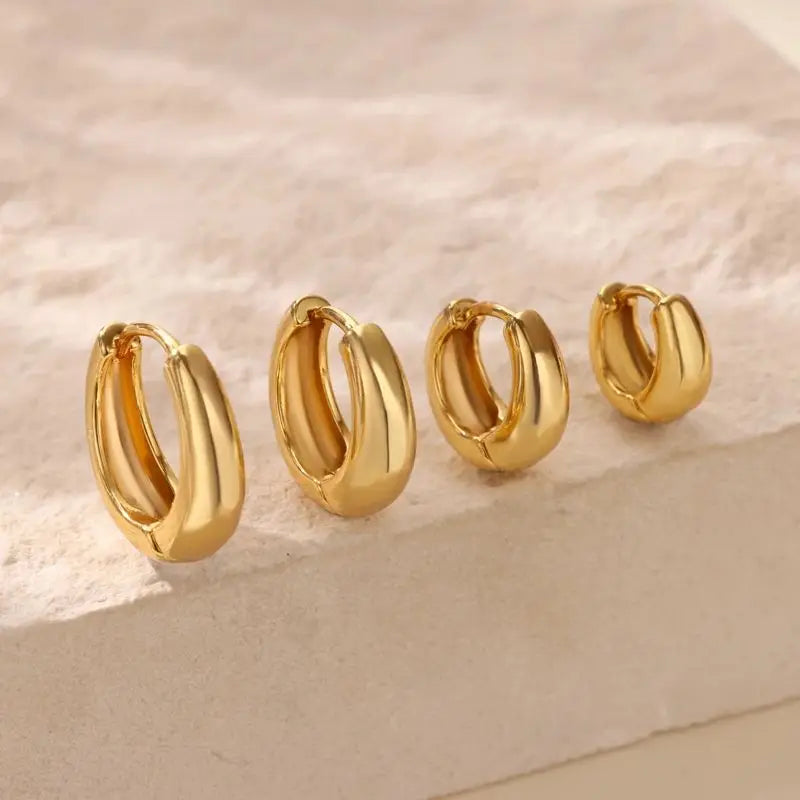 Classic Hoop Earrings for Women Chunky Stainless Steel Gold Color Earring 2025 Trend New in Minimalist Pendientes Jewelry aretes Vera Lux