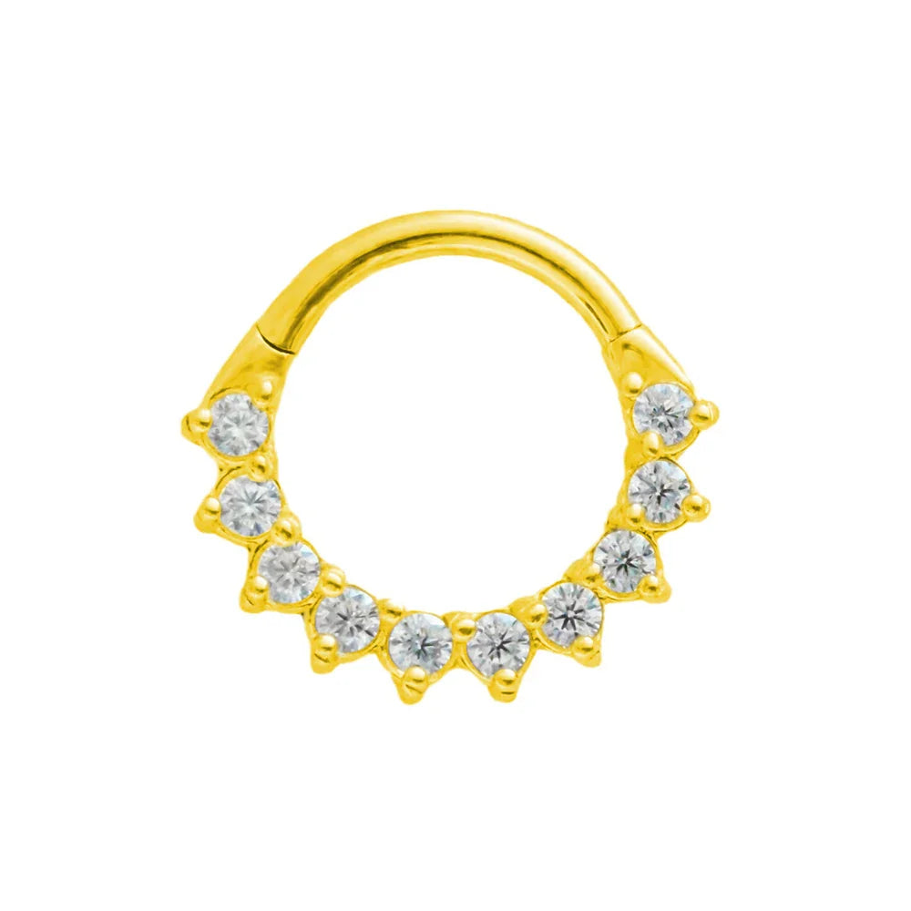 316L Surgical Steel Segment Nose Ring Zircon Septum Clicker Ear Cartilage Helix Daith Hoop Body  Piercing Jewelry Vera Lux