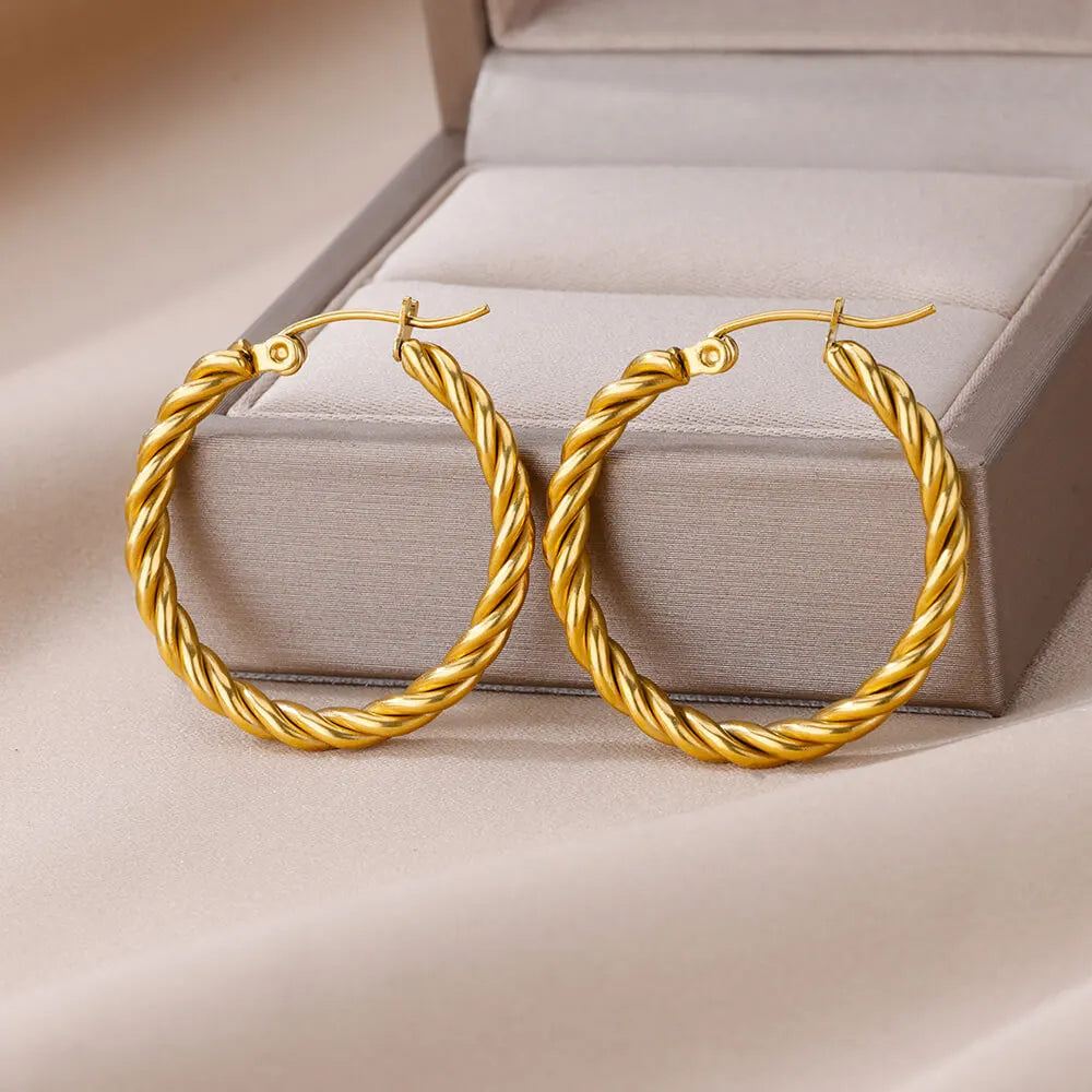Vintage Round Stainless Steel Hoop Earrings For Women Gold Plated Earring 2023 Trending Statement Ear Jewelry Christmas Gift Vera Lux