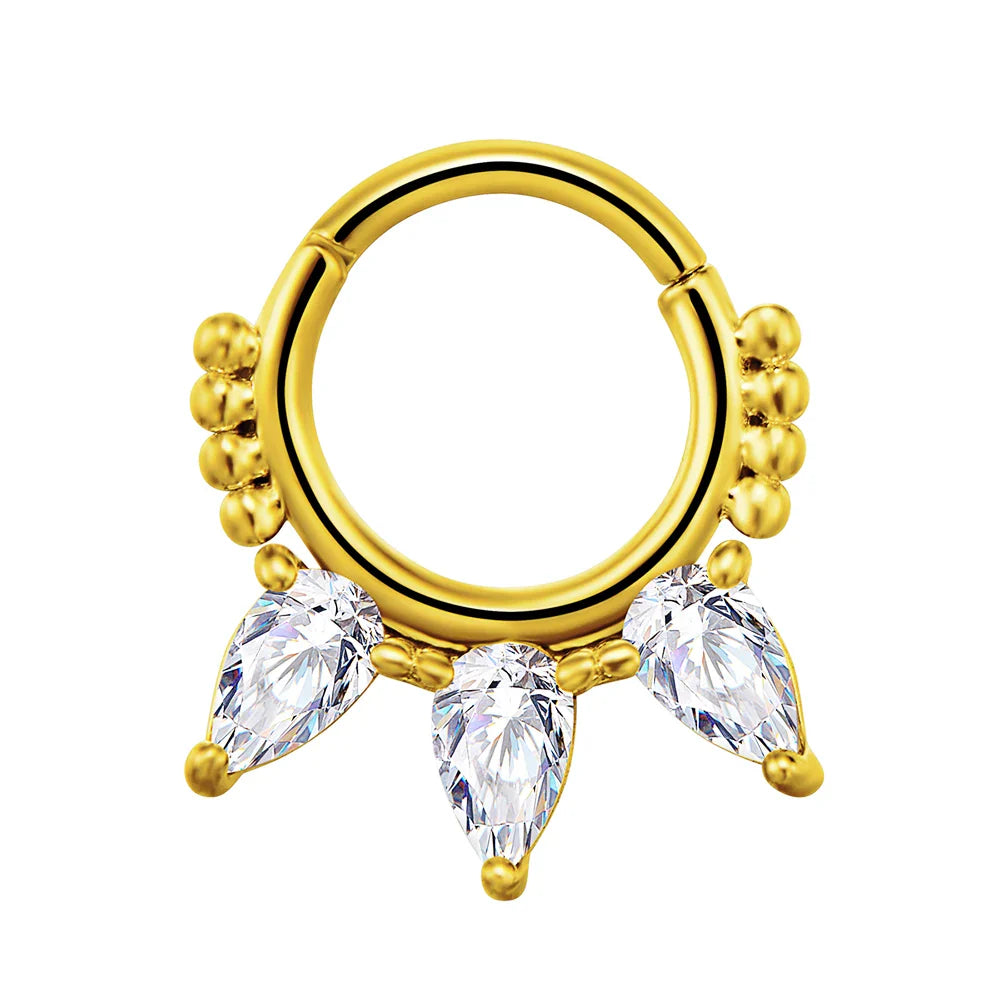 316L Surgical Steel Segment Nose Ring Zircon Septum Clicker Ear Cartilage Helix Daith Hoop Body  Piercing Jewelry Vera Lux