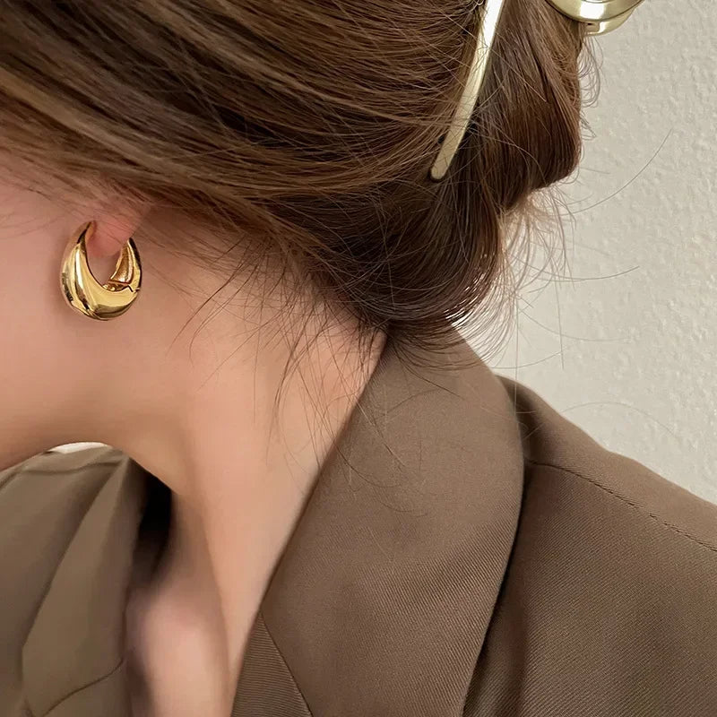 Stainless Steel Smooth Metal Chunky Hoop Earrings For Women Girls Fashion Round Circle Hoops Statement Earrings Punk Jewelry Vera Lux