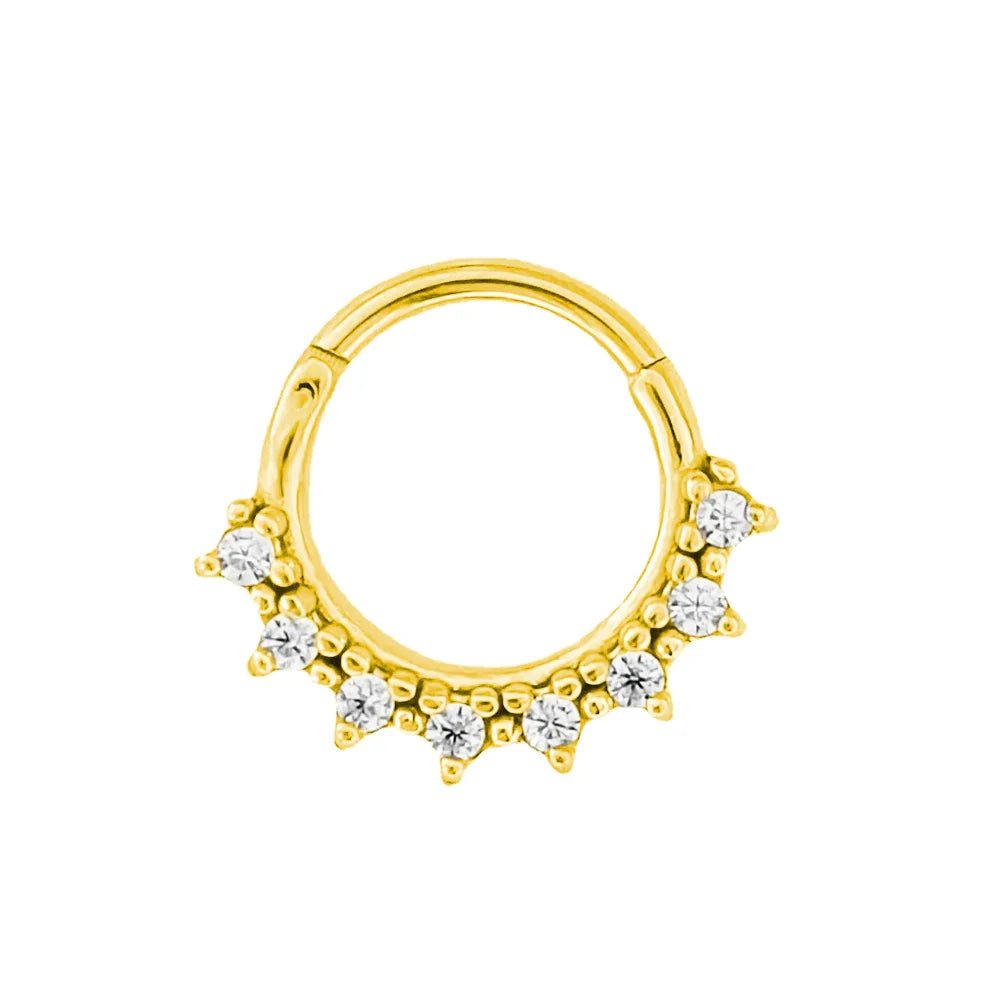 316L Surgical Steel Segment Nose Ring Zircon Septum Clicker Ear Cartilage Helix Daith Hoop Body  Piercing Jewelry Vera Lux