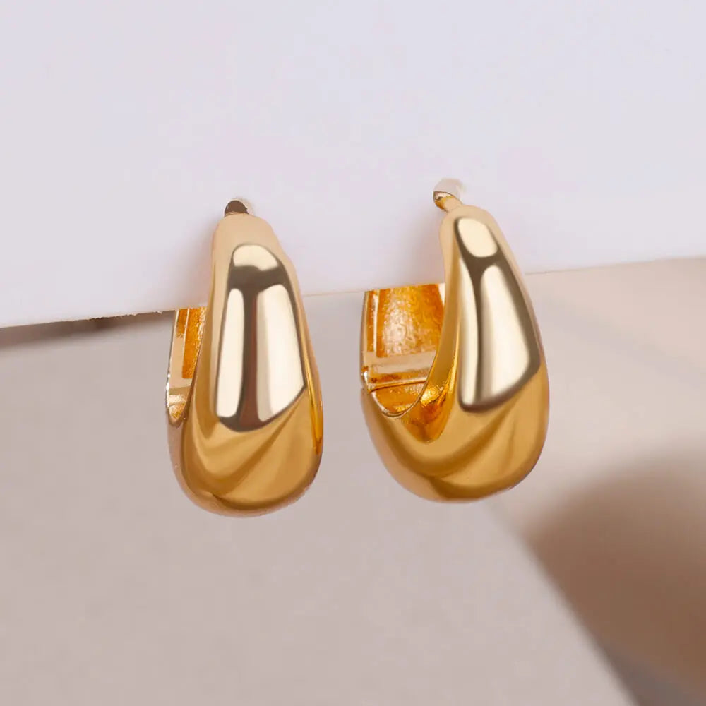 Chunky Drop Hoop Earrings for Women Stainless Steel Gold Color Piercing Earring 2024 Trend New In Trend Jewelry aretes mujer Vera Lux