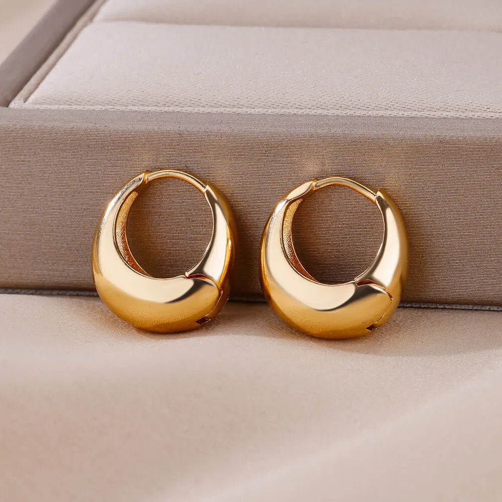 Chunky Drop Hoop Earrings for Women Stainless Steel Gold Color Piercing Earring 2024 Trend New In Trend Jewelry aretes mujer Vera Lux