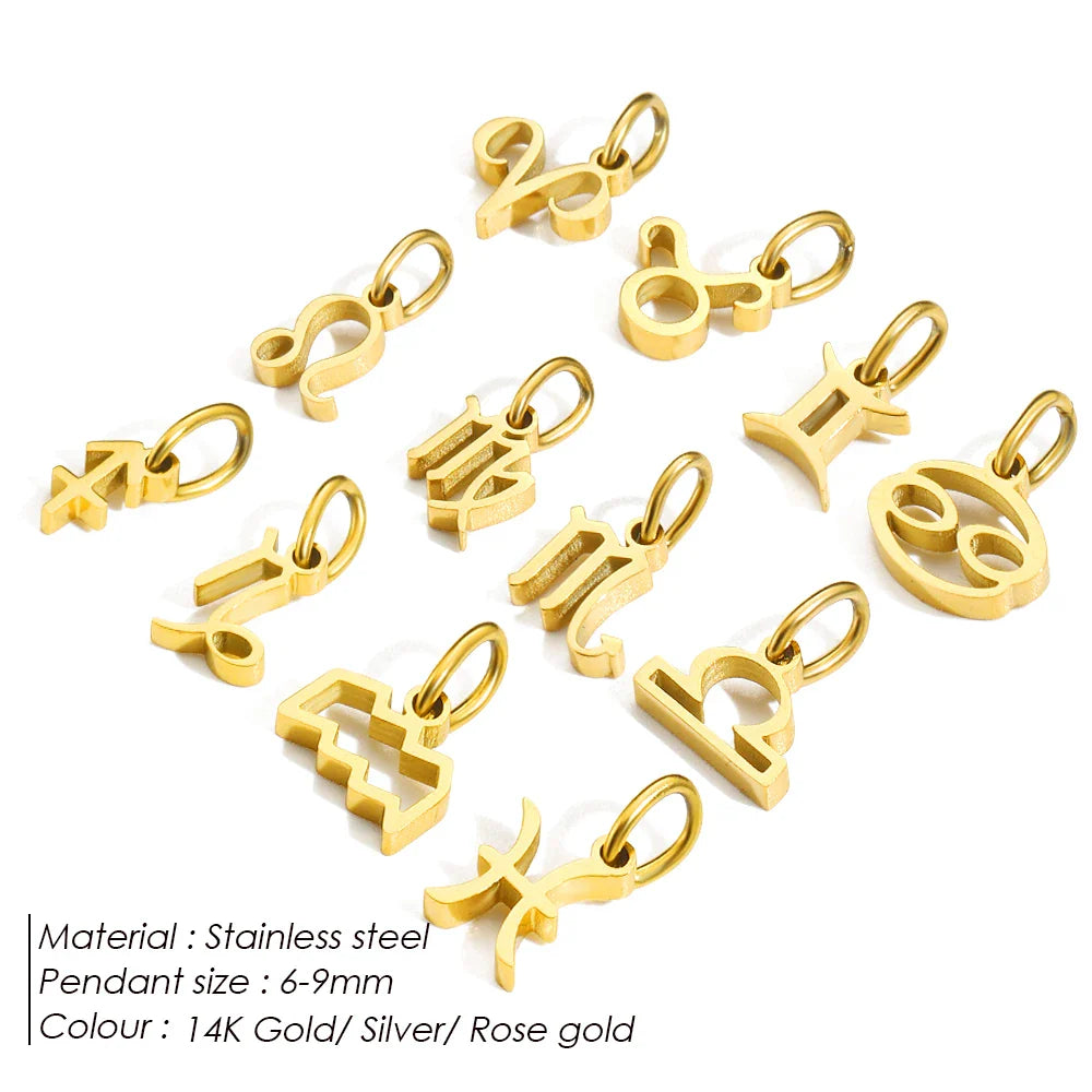 12 Zodiac Signs Pendant Accessories Stainless Steel Constellation Necklace Birthday Gift Vera Lux