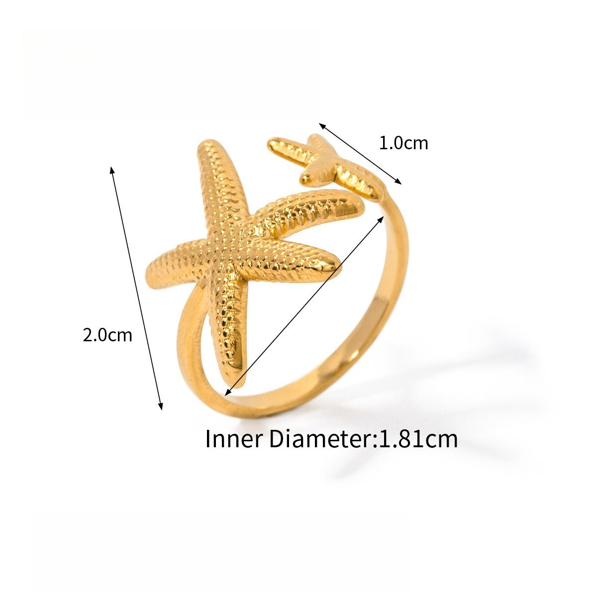 Starfish Shell Titanium Steel Ring Vera Lux