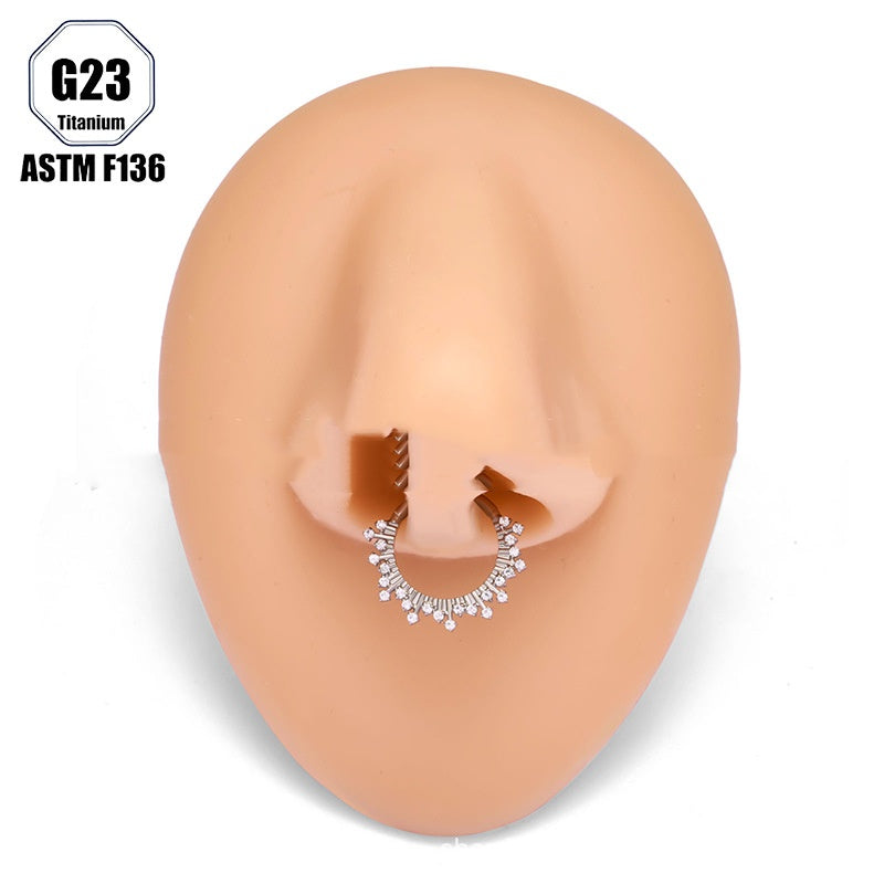 European And American G23 Titanium Alloy Earrings With Zircon Inlays Vera Lux