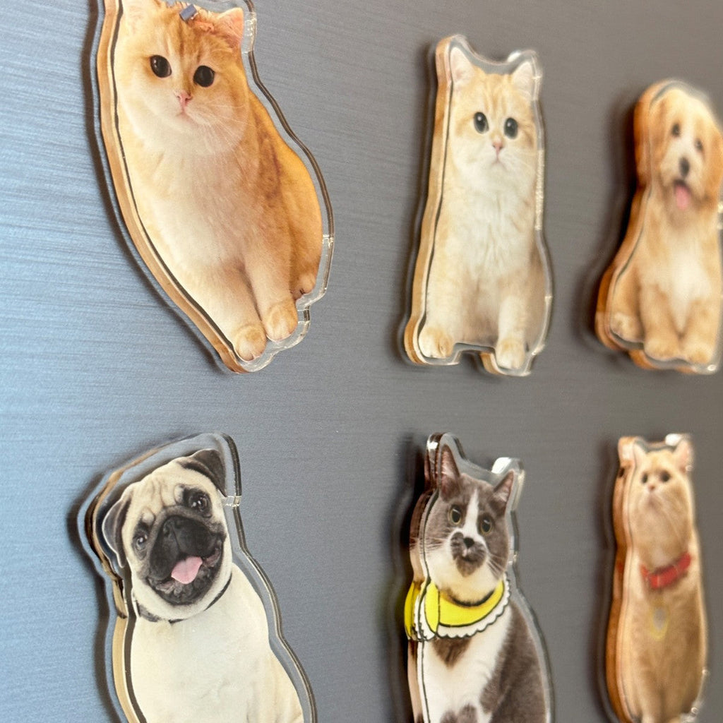 Acrylic Refrigerator Magnets With Magnetic Photos DIY Vera Lux