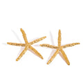 18K gold starfish-shaped earrings with a simple and unique design Vera Lux