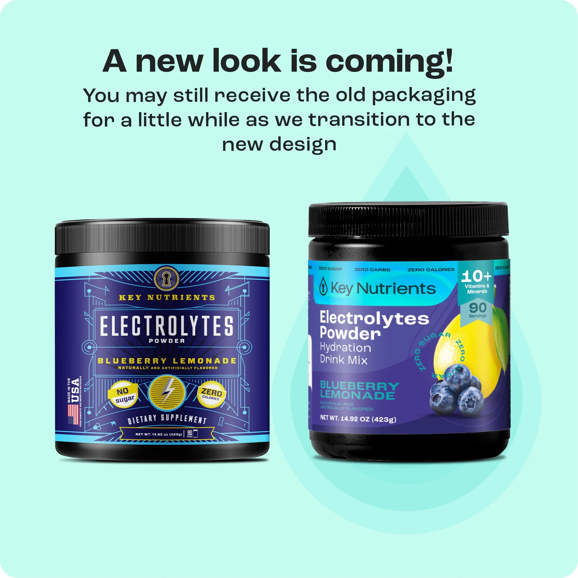 Electrolyte Recovery Plus Powder (Sugar-Free) Key Nutrients