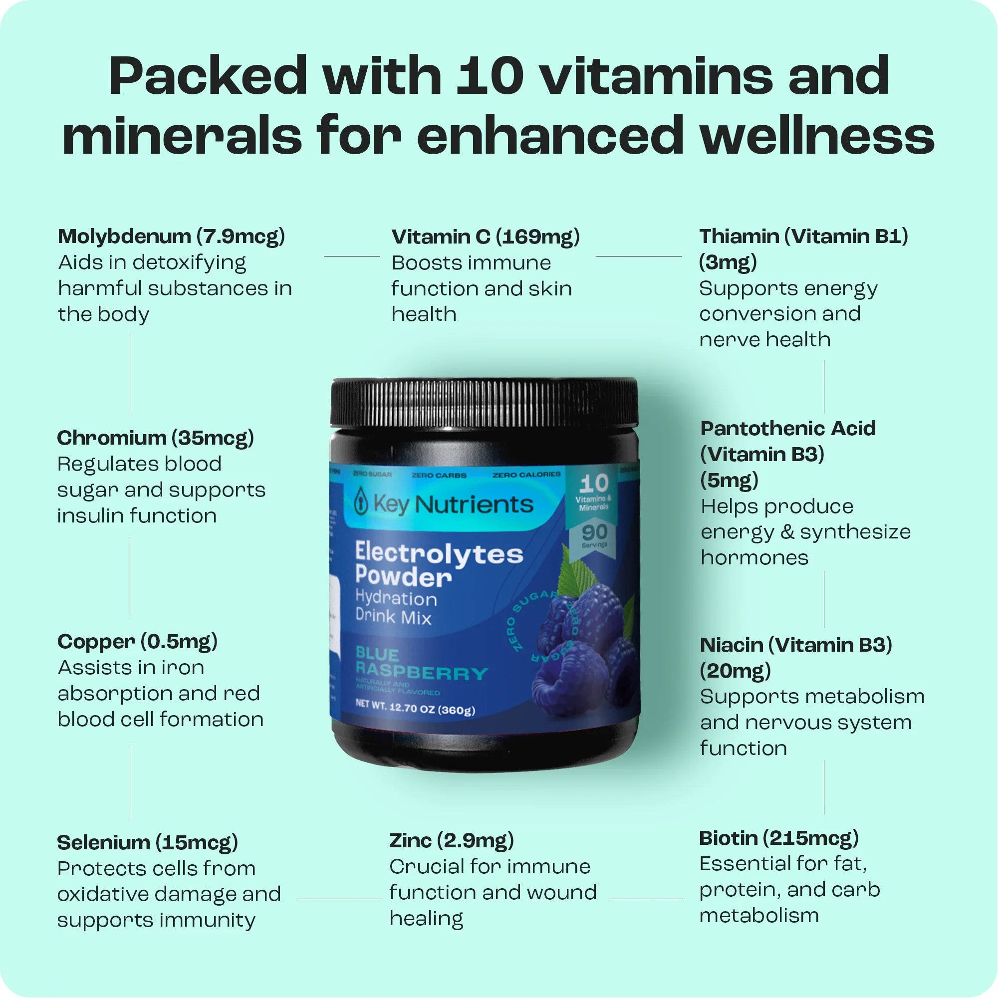 Electrolyte Recovery Plus Powder (Sugar-Free) Key Nutrients