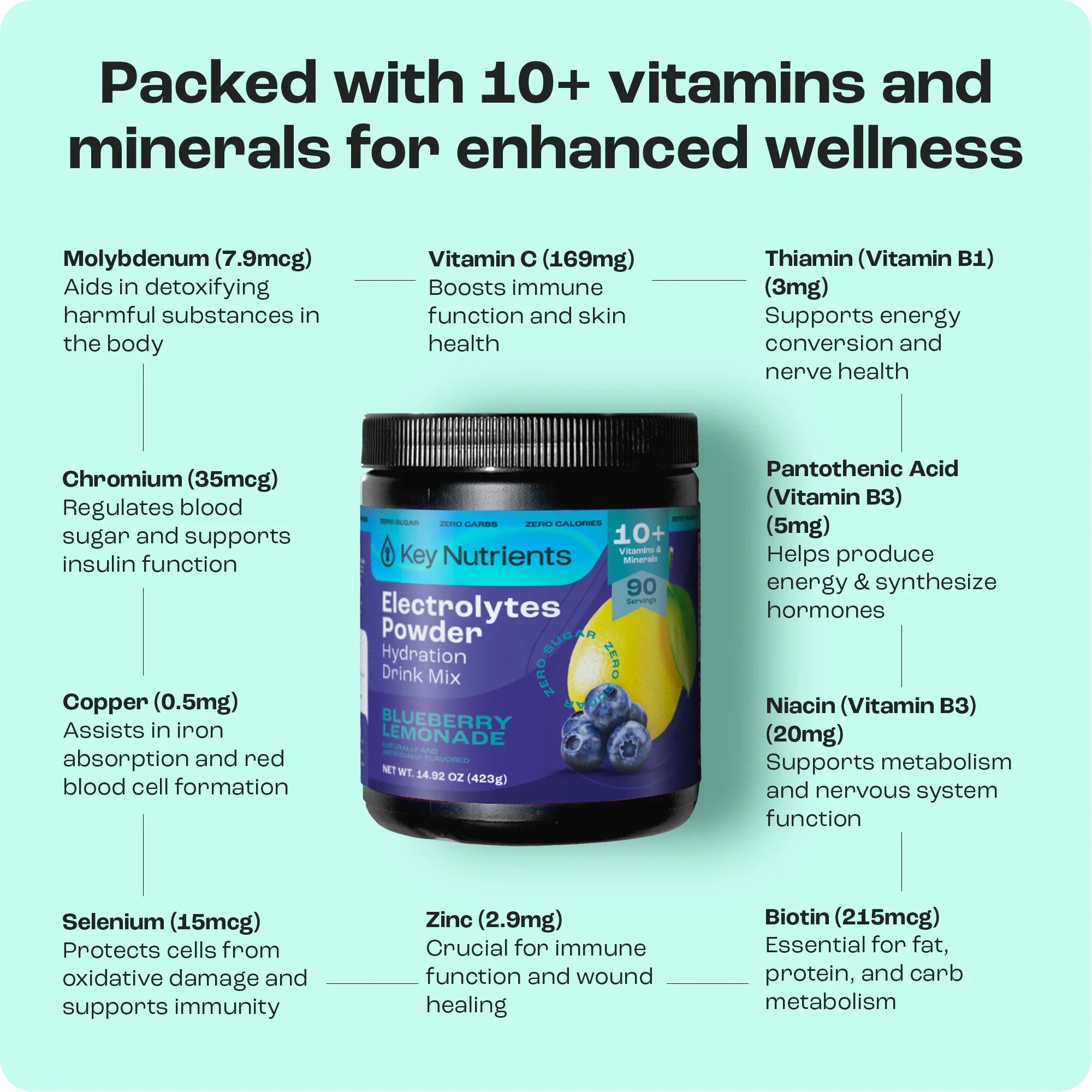 Electrolyte Recovery Plus Powder (Sugar-Free) Key Nutrients
