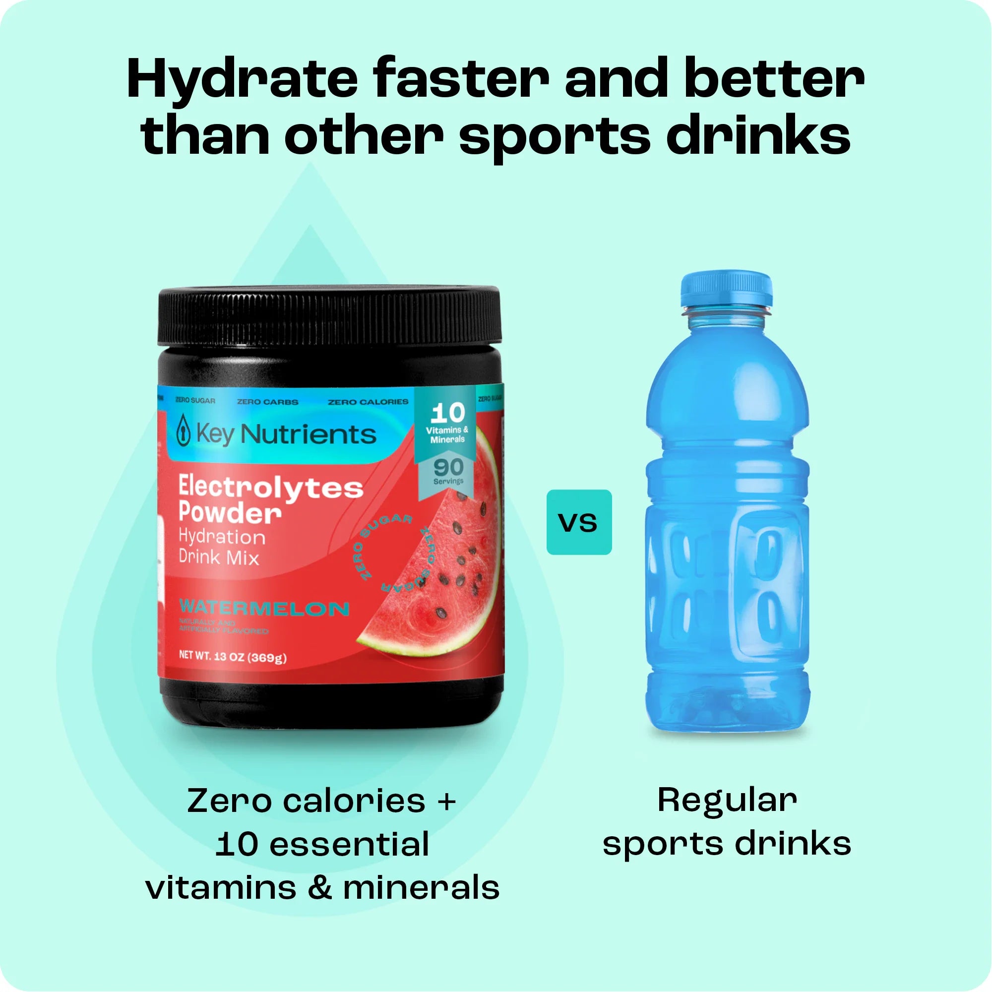 Electrolyte Recovery Plus Powder (Sugar-Free) Key Nutrients