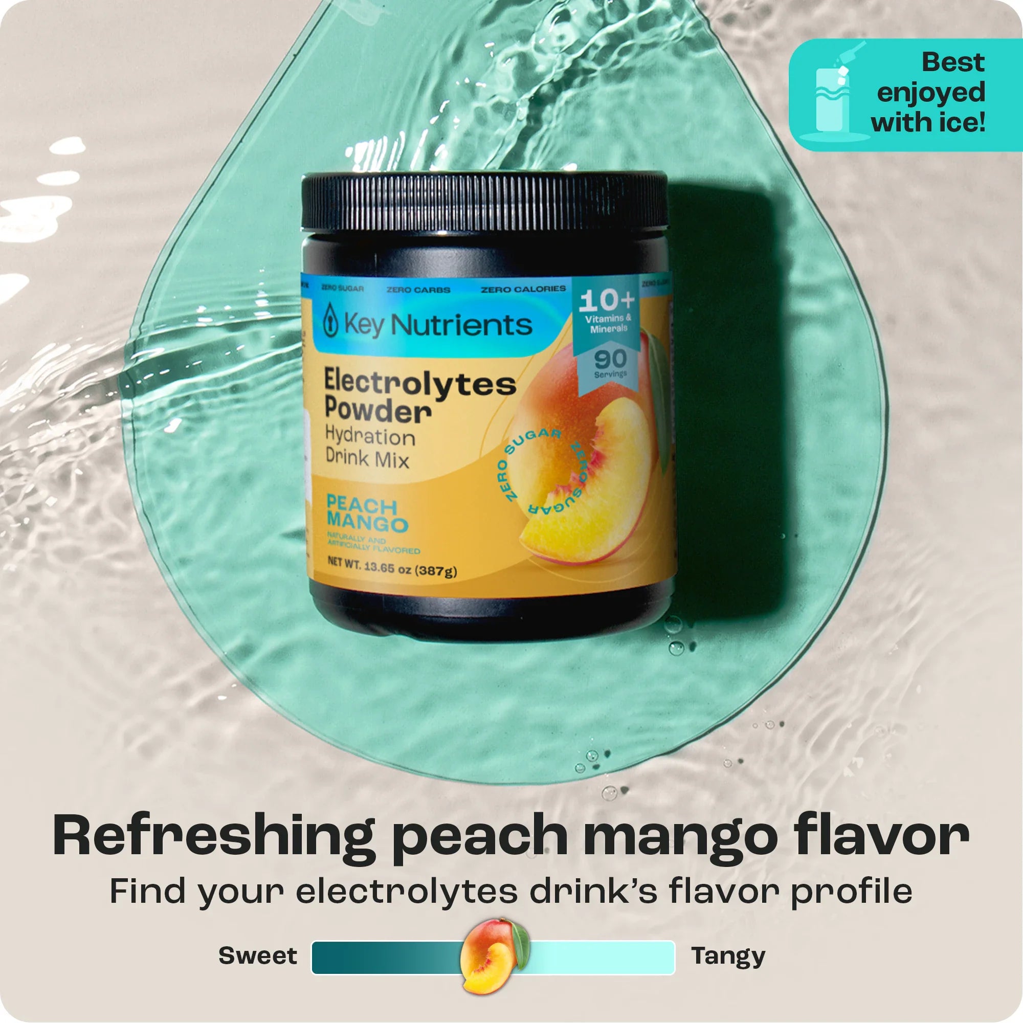 Electrolyte Recovery Plus Powder (Sugar-Free) Key Nutrients