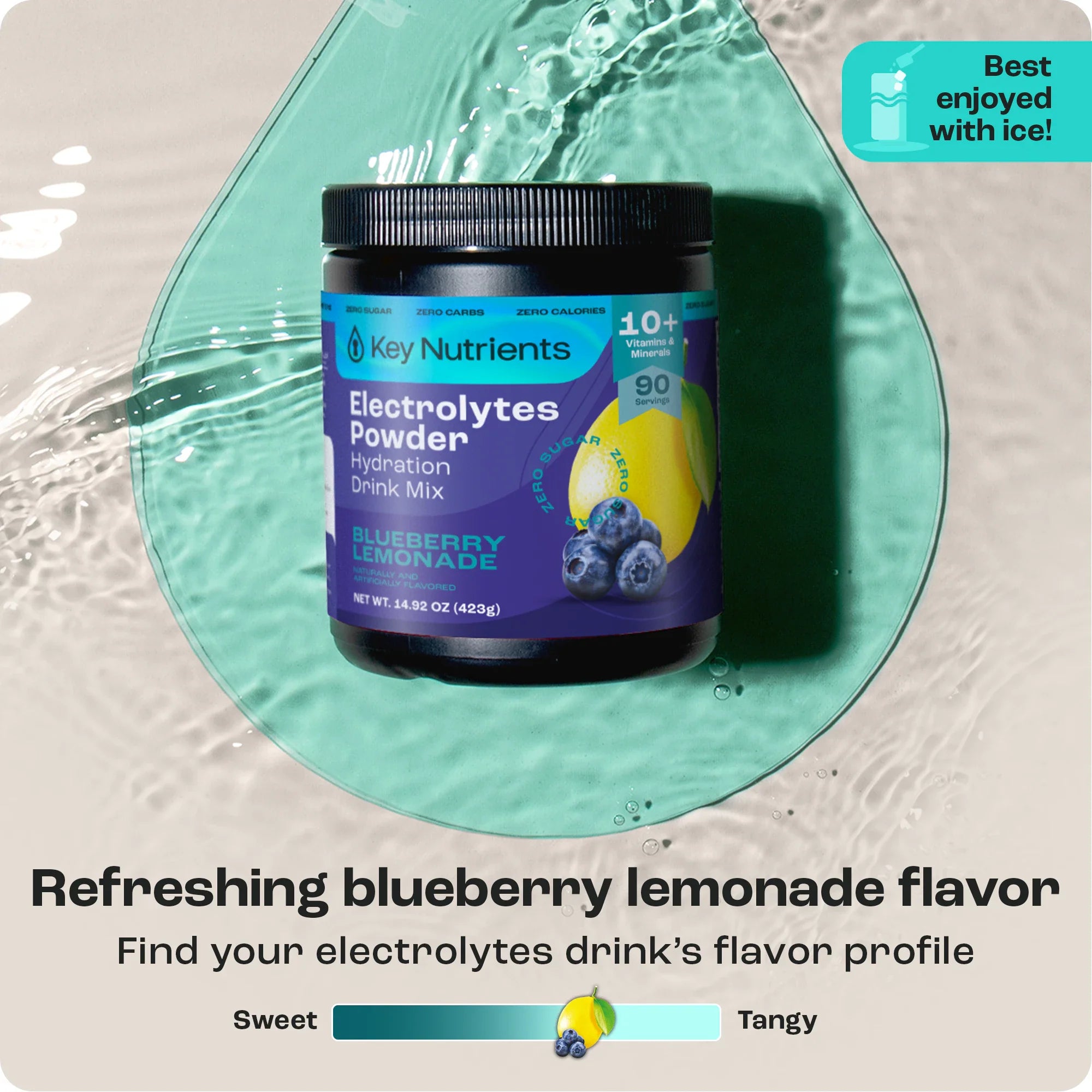 Electrolyte Recovery Plus Powder (Sugar-Free) Key Nutrients