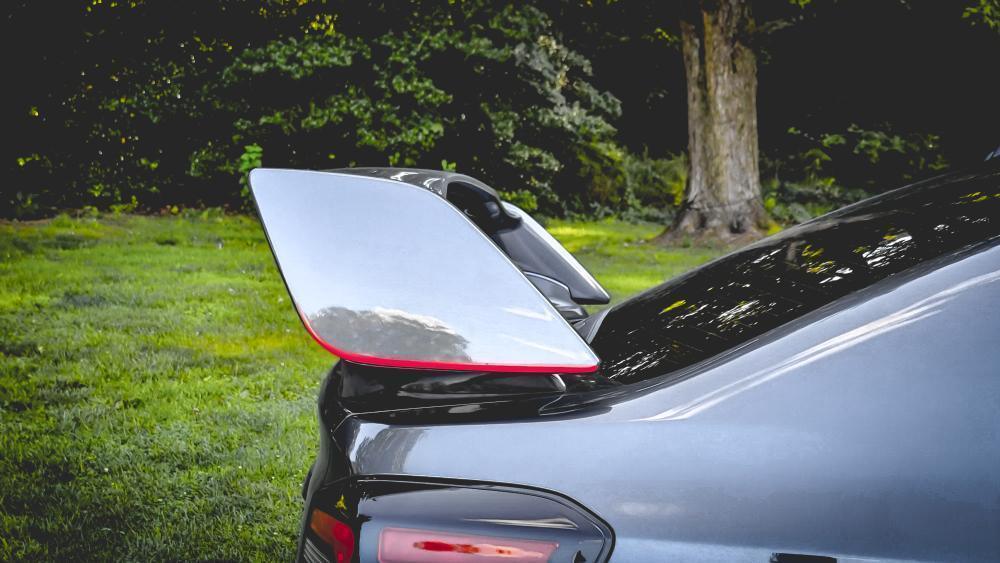 JDM Style STI Spoiler Pinstripe - 2015-2021 *WRX / STI StickerFab