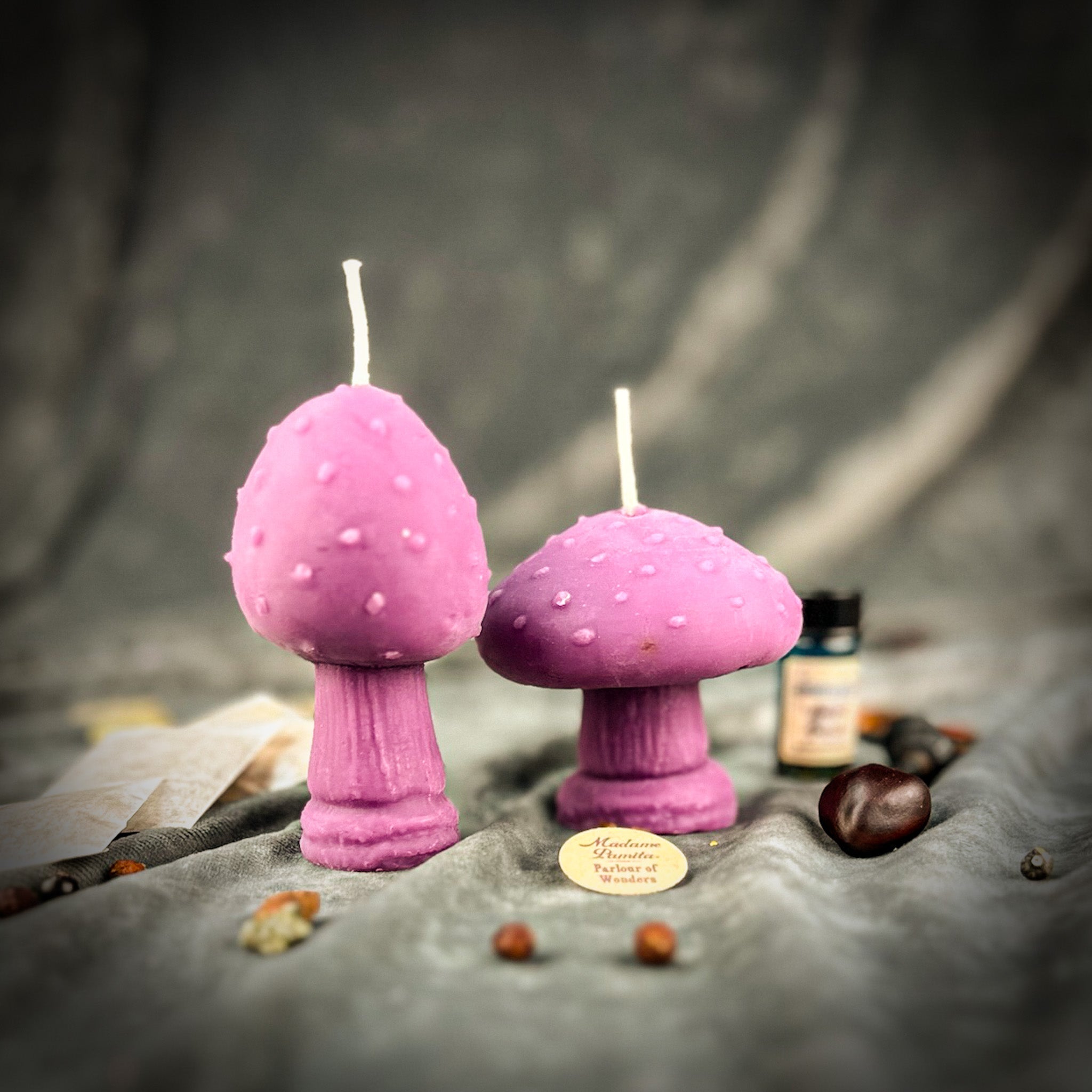 Mystical Mushroom Duo Candle Spell Kit - Forest Wisdom & Shadow Work Magic Parlour of Wonders