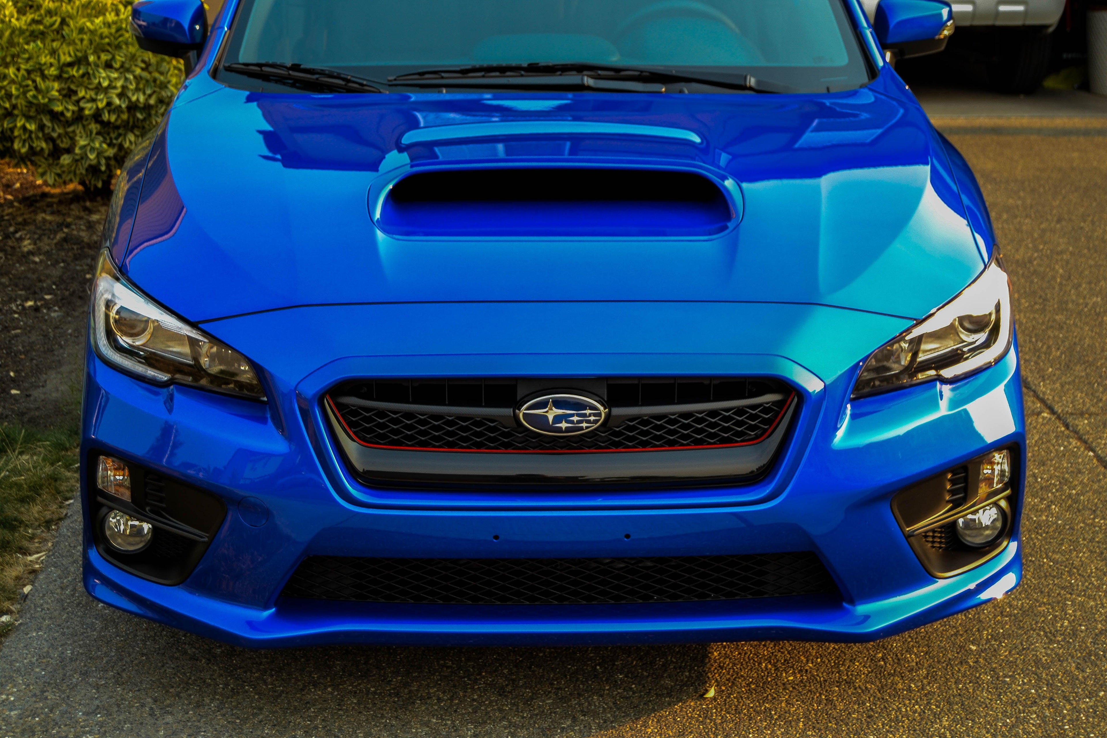 Original Grille Pinstripe - 2015-2017 WRX / STI StickerFab