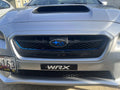 Original Grille Pinstripe - 2015-2017 WRX / STI StickerFab