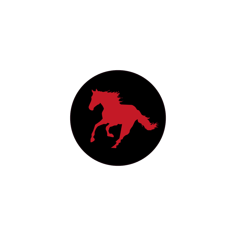 Printed Series Wheel Cap Overlays - 2021+ Bronco StickerFab